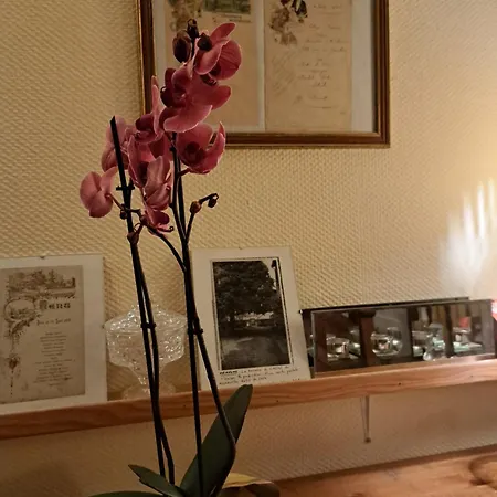 Le Coeur De Meaulne